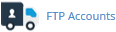 Change password of an FTP Account in cPanel